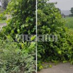 Due to strong wind and rain near Khandara, broken bushes spread on the road, fear of accident