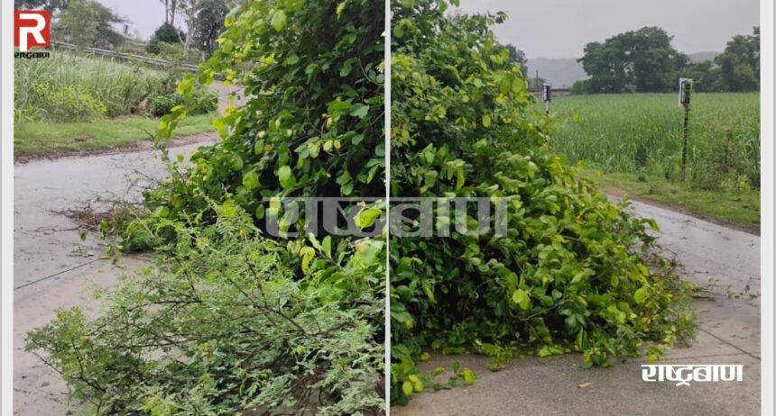 Due to strong wind and rain near Khandara, broken bushes spread on the road, fear of accident