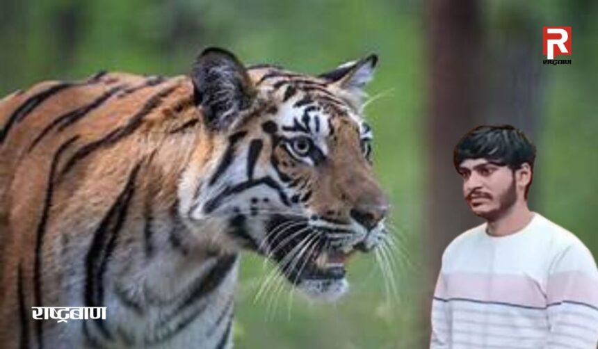 पेंच टाइगर रिजर्व