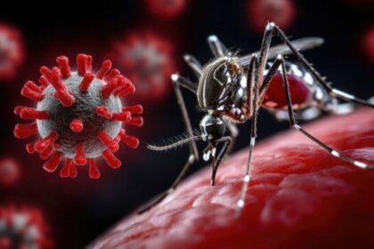 Chikungunya Virus Outbreak in China