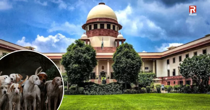 आवारा कुत्तों