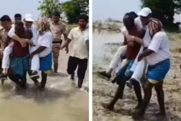 तारिक अनवर