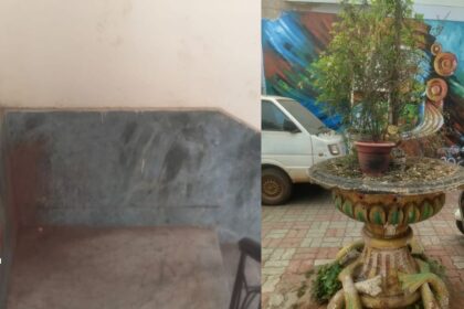 स्वच्छता अभियान