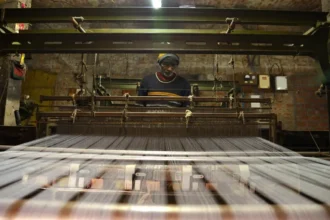 T20 WC final: Varanasi weavers craft cricket-themed Banarasi sarees for Team India