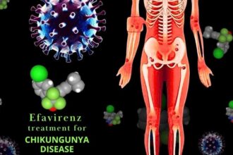 IIT Roorkee researchers discover potential drug to treat Chikungunya