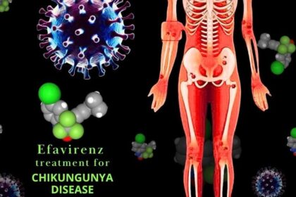 IIT Roorkee researchers discover potential drug to treat Chikungunya