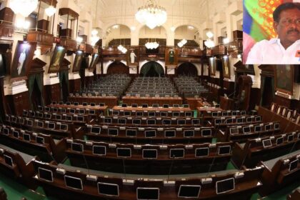 Who is a Pro-tem Speaker, and why is the role crucial for a new Assembly?
