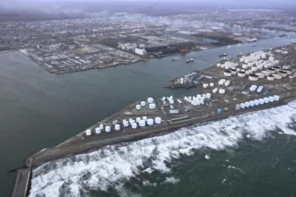 Tsunami hits northern Japan after earthquake, no damage reported