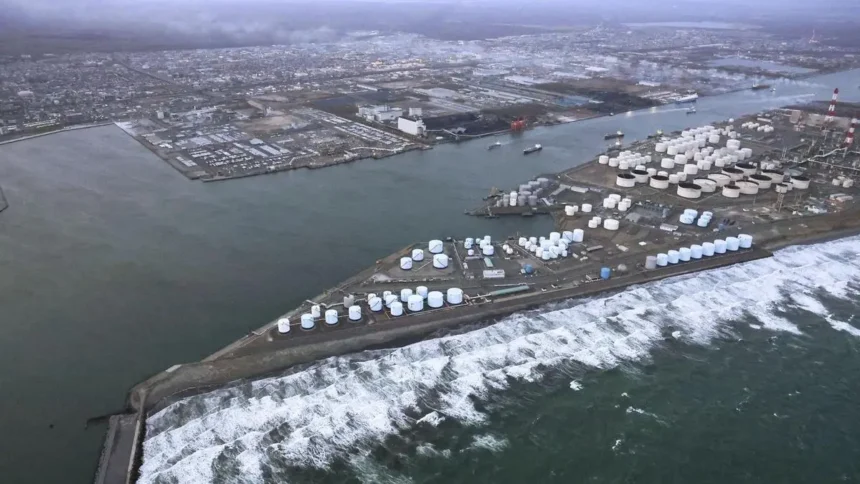 Tsunami hits northern Japan after earthquake, no damage reported