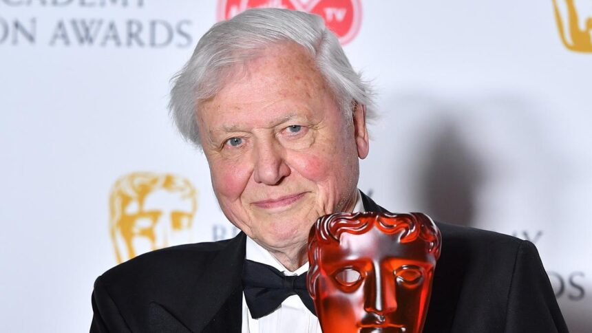 Daily Quiz: On David Attenborough