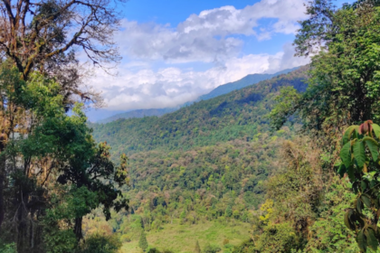 Decade-long IISc Study: Anthropogenic changes threaten eastern Himalayan birds