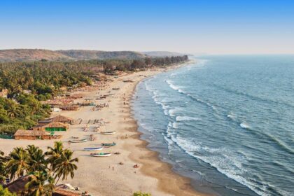 Goa govt to reclassify 1 crore sq metres of eco-sensitive land as no-development zones