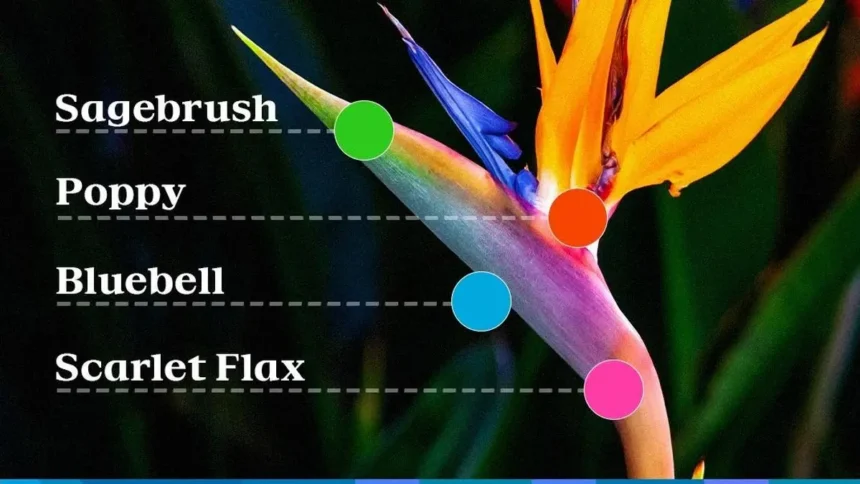 Los Angeles 2028 Olympics unveils vibrant ‘superbloom’ inspired official look