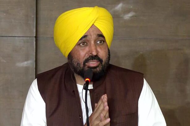 Punjab CM Bhagwant Mann’s fake video controversy | Explained