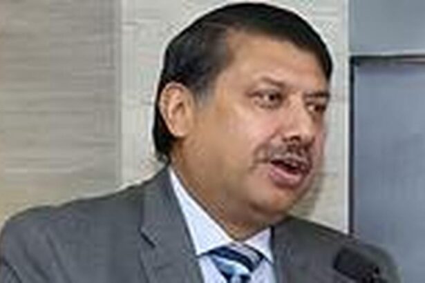 Prioritise energy security for keeping growth momentum going: RBI MPC member