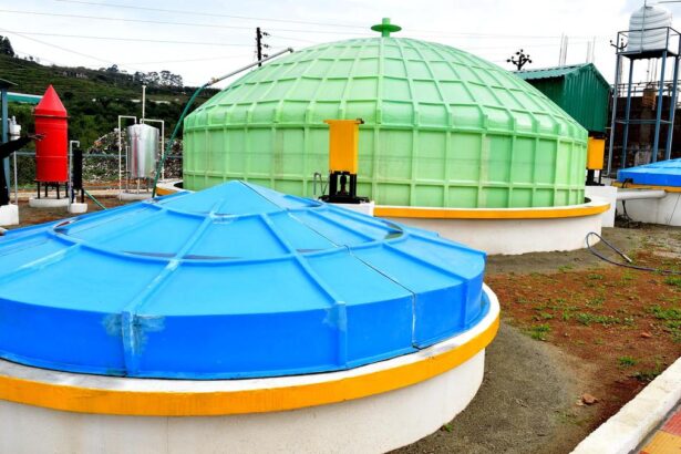 Come up with scheme for biogas generation in Tamil Nadu: Plea at Madras High Court