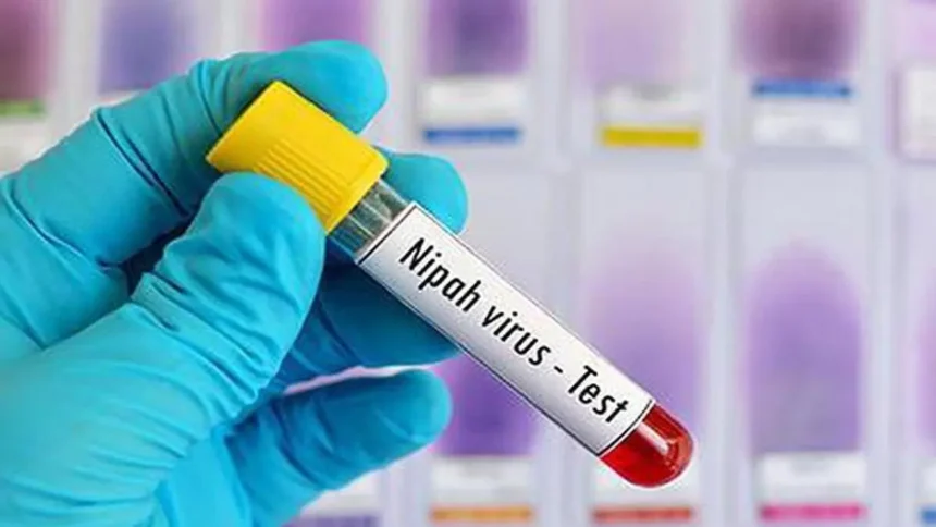 Kerala on Nipah virus alert after Kozhikode man's preliminary test turns positive