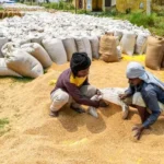 मध्य प्रदेश ने 12.10 लाख किसानों से 87.71 लाख मीट्रिक टन से अधिक गेहूं की खरीद की