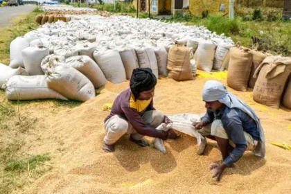 मध्य प्रदेश ने 12.10 लाख किसानों से 87.71 लाख मीट्रिक टन से अधिक गेहूं की खरीद की