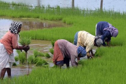Monsoon deficit and India’s agricultural vulnerability: In graphics