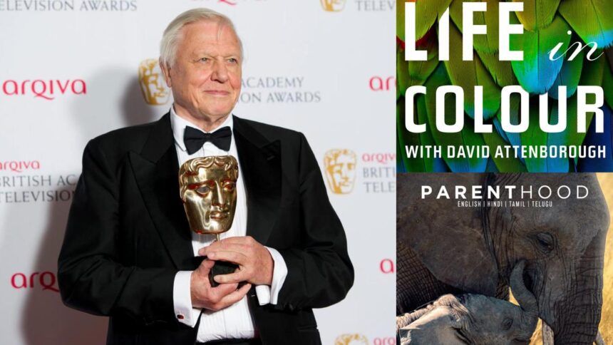 Warner Bros. Discovery celebrates Sir David Attenborough’s 100th birthday with special programming