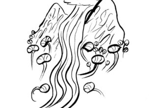Experimental fiction: A river hatches a conspiracy with a tree to transform human civilisation