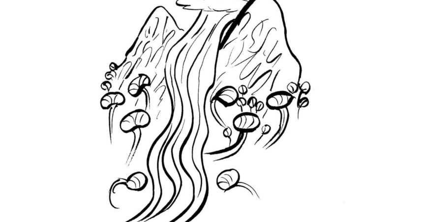 Experimental fiction: A river hatches a conspiracy with a tree to transform human civilisation
