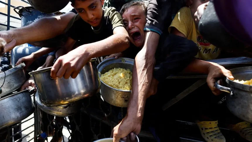 Iran war could push millions more into hunger, warns UN food agency
