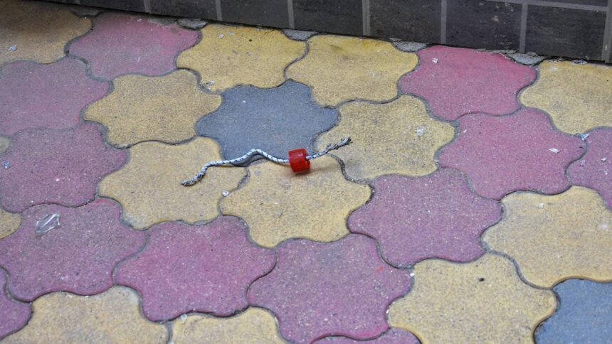 Jharkhand BJP condemns attack on RSS office in Ranchi