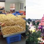 महाकाल मंदिर में नई हाईटेक मशीनों के जरिए लड्डू प्रसाद बनाने की तैयारी, टेंडर हुआ जारी, गड़बड़ी पर 50 लाख रुपए तक का जुर्माना