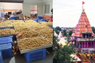 महाकाल मंदिर में नई हाईटेक मशीनों के जरिए लड्डू प्रसाद बनाने की तैयारी, टेंडर हुआ जारी, गड़बड़ी पर 50 लाख रुपए तक का जुर्माना