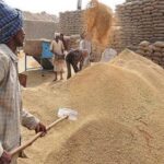 MSP पर गेहूं खरीदी में घोटाला उजागर, कांग्रेस ने प्रदेश सरकार पर लगाये गंभीर आरोप, कहा ये किसान के हक़ पर डाका