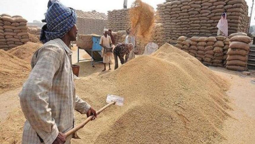 MSP पर गेहूं खरीदी में घोटाला उजागर, कांग्रेस ने प्रदेश सरकार पर लगाये गंभीर आरोप, कहा ये किसान के हक़ पर डाका