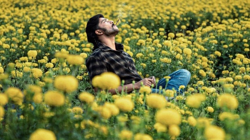 ‘Mango Pachcha’ release date: Sudeep-backed film grabs vacant slot left by ‘Toxic’