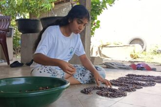 Young environmental enthusiast transforms floor into canvas to spread message of conservation of traditional seeds