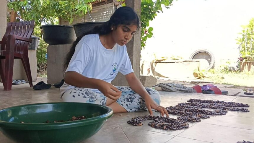 Young environmental enthusiast transforms floor into canvas to spread message of conservation of traditional seeds