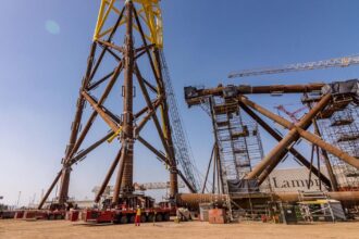 UAE’s decision to quit OPEC reflects rift with Saudi Arabia – and its aim to get closer to US