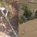 Dhar News: 4 लोगों को बनाया था निशाना, जमीन पर पटककर तेंदुए के ऊपर बैठा युवक, वीडियो वायरल