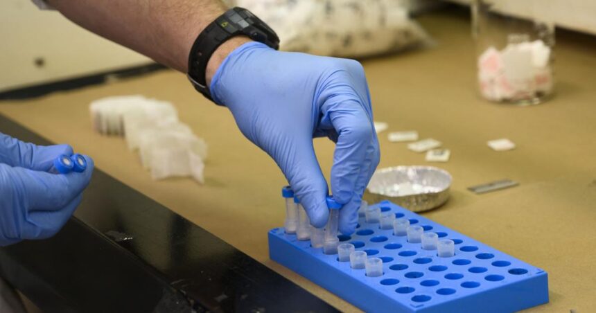 Two Indians, their firms face US sanctions for alleged links with Mexico-based drug cartel