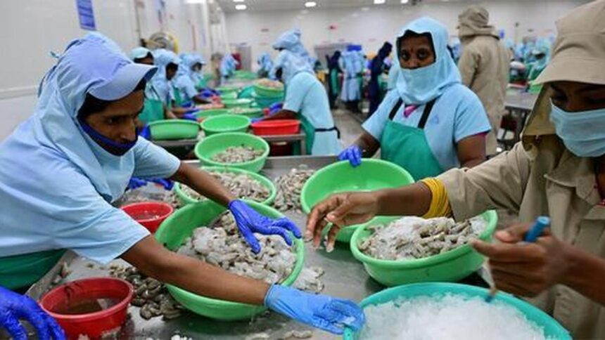 Rise in shrimp feed prices leaves aqua farmers in deep waters in Andhra Pradesh