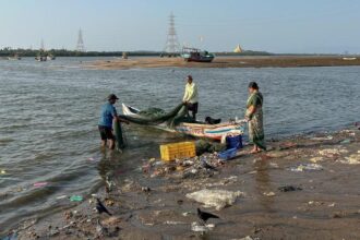 In photos: Koli fishers fear loss of livelihood, cultural identity as Mumbai fells 45,000 mangroves