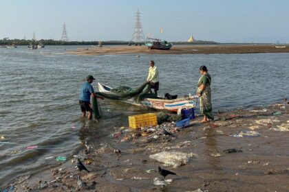 In photos: Koli fishers fear loss of livelihood, cultural identity as Mumbai fells 45,000 mangroves