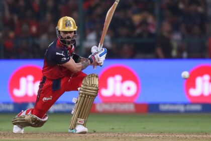 IPL reminds us beauty is only one mode of the aesthetic experience