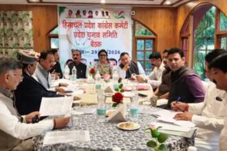 पहले दिन हुए हिमाचल नगर निकाय चुनाव के लिए 155 नॉमिनेशन, BJP ने उतारे उम्मीदवार, कांग्रेस में टिकट को लेकर मंथन