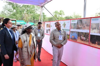 कूनो नेशनल पार्क पहुंचीं राष्ट्रपति द्रौपदी मुर्मू, चीता कंट्रोल एंड कमांड सेंटर देखा, सोमवार को चीता सफारी का लेंगी आनंद