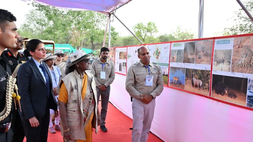 कूनो नेशनल पार्क पहुंचीं राष्ट्रपति द्रौपदी मुर्मू, चीता कंट्रोल एंड कमांड सेंटर देखा, सोमवार को चीता सफारी का लेंगी आनंद