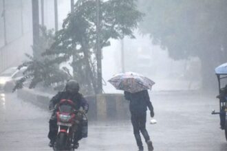 मध्य प्रदेश मौसम: आज 41 जिलों में आंधी-बारिश का अलर्ट, अबतक सामान्य से 53 फीसदी कम बारिश, 2 दिन में मानसून की एंट्री संभव