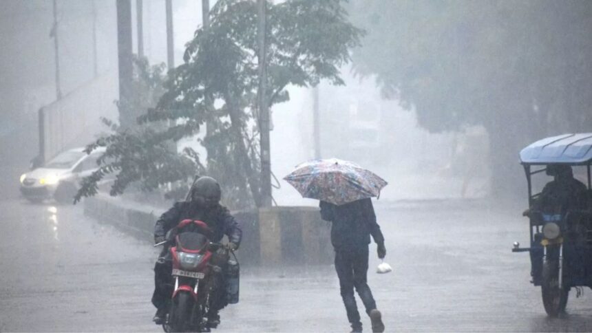 मध्य प्रदेश मौसम: आज 41 जिलों में आंधी-बारिश का अलर्ट, अबतक सामान्य से 53 फीसदी कम बारिश, 2 दिन में मानसून की एंट्री संभव