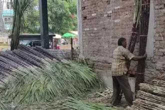 यूपी में गन्ना किसानों के लिए बड़ी खबर: अब GPS से होगा फसल का सर्वे, सीएम योगी का निर्देश