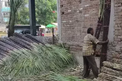 यूपी में गन्ना किसानों के लिए बड़ी खबर: अब GPS से होगा फसल का सर्वे, सीएम योगी का निर्देश